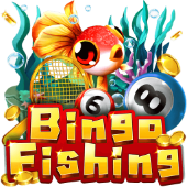 Bingo Fishing inplay webcam game
