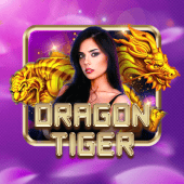 Dragon Tiger inplay webcam casino